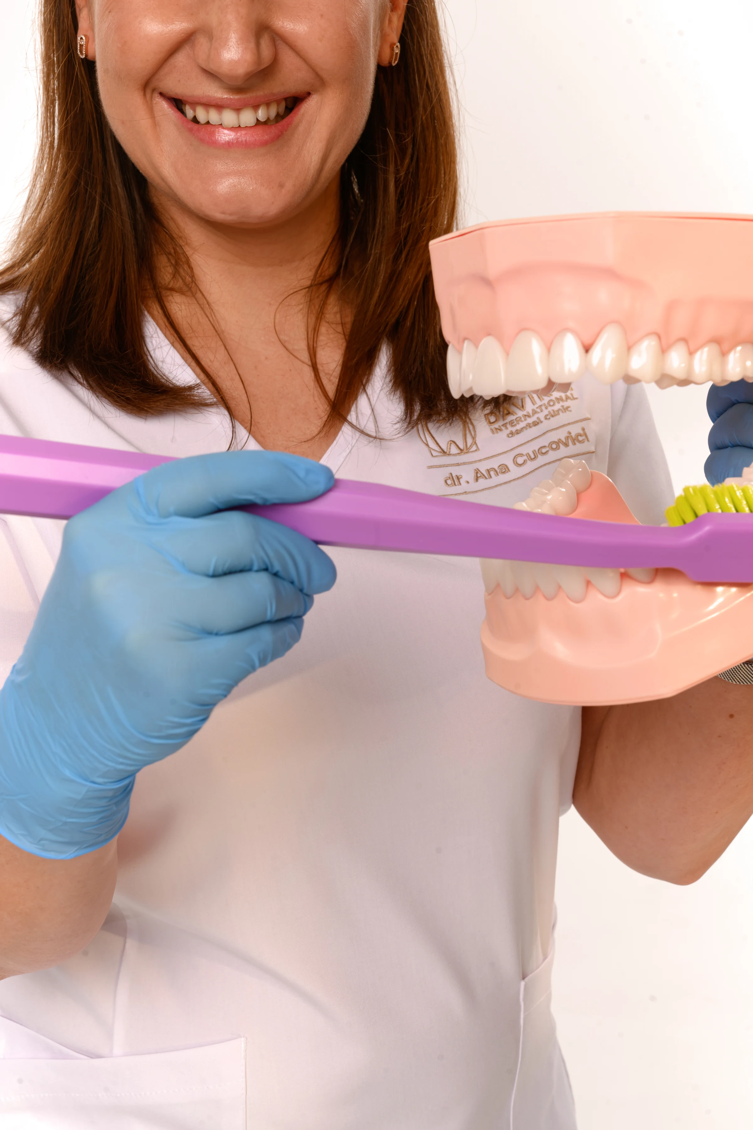 Demonstrație de periaj pe un model dentar